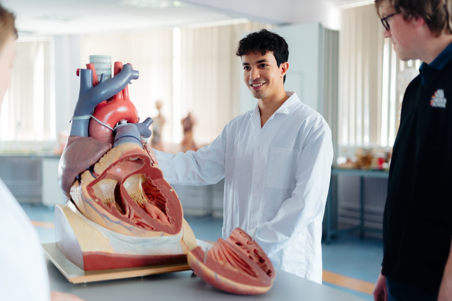 A Clinical Anatomy student with a model of the human body